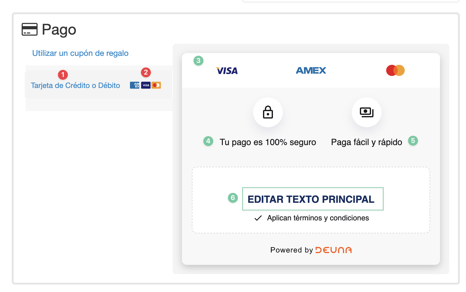 VTEX checkout après avoir appliqué le style CSS personnalisé DEUNA